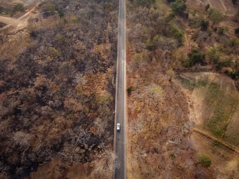 Aerial view, The road passes through a dry orange-yellow forest. Some parts were destroyed by a forest fire. photo