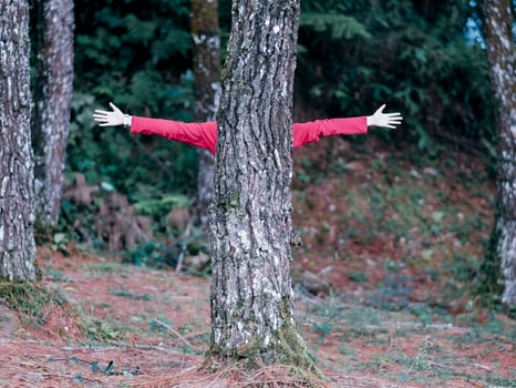 A girl playing hide and seek in the forest photo