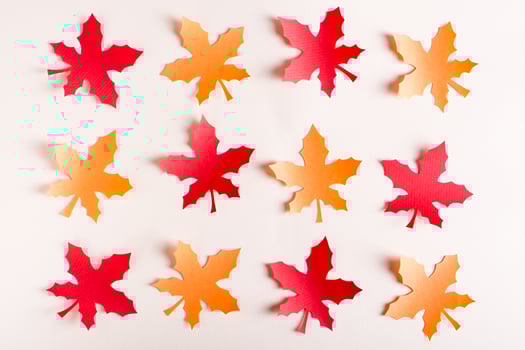 Orange and red cut out maple leaves from craft paper in rows. Autumn decoration. photo