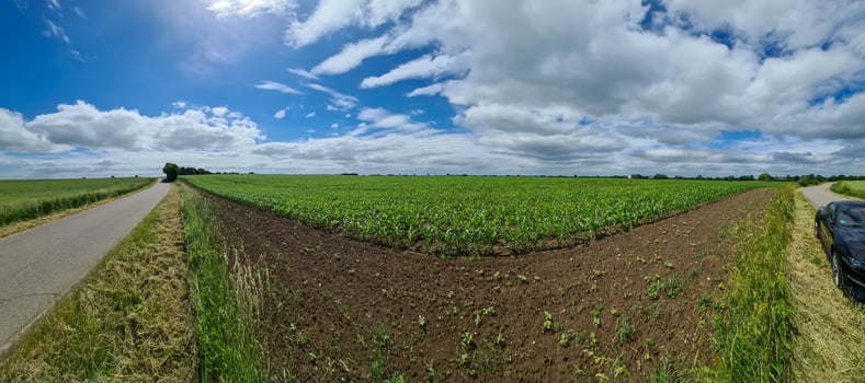 Panorama of a northern european country landscape with streets, fields and green grass. photo