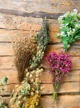 Dried medicinal flowers and herbs on wooden background. Studio Photo