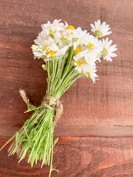 Dried medicinal flowers and herbs on wooden background. Studio Photo