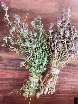 Dried medicinal flowers and herbs on wooden background. Studio Photo