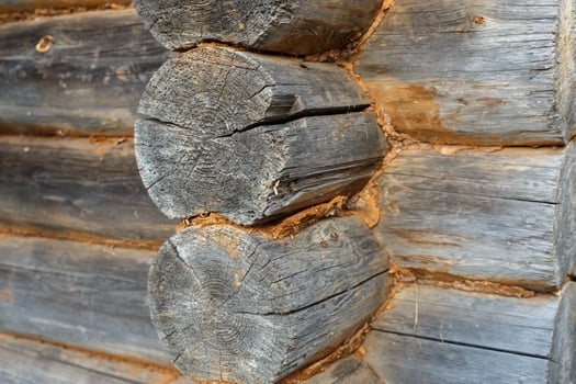 Wooden wall of logs. Corner of a log house photo