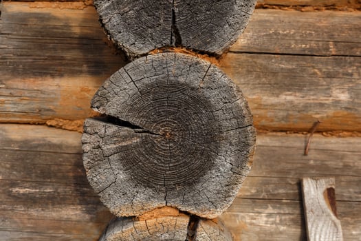 Wooden wall of logs. Old cut logs. Texture wood. photo