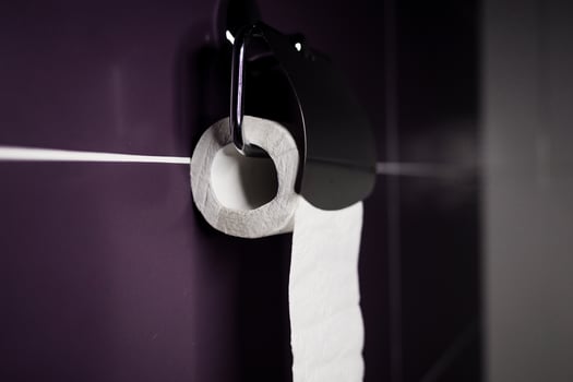 Roll of toilet paper photo