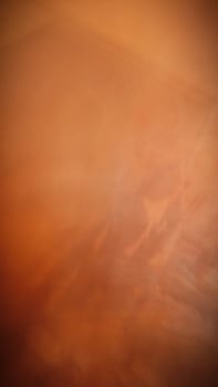 Abstract blur background. Dark brown, light brown, white. Emotion, stillness, intelligence, sobriety, handsome and masculine. photo