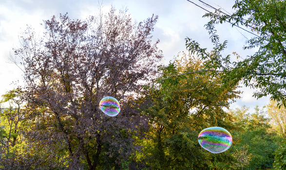 big soap bubbles on the background of trees photo