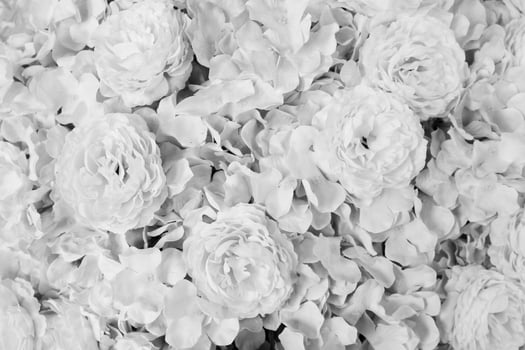 Beautiful Pattern of flower background in black and white tone. Beauty of nature and Natural wallpaper in monochrome style. Flora at garden park. photo