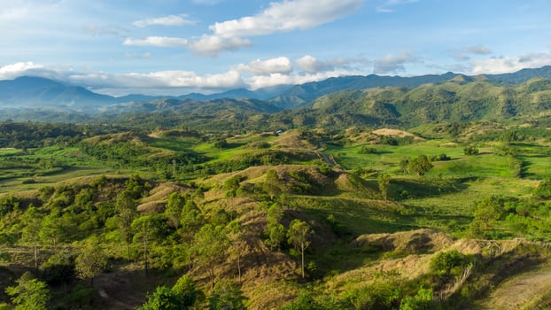 Aerial view of hills and grass photo