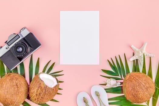 Palm leaves and coconuts on pink mockup photo