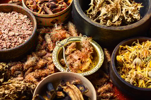Healing herbs in herbal medicine photo