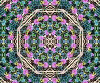 background abstract flame mandala flower colorful photo