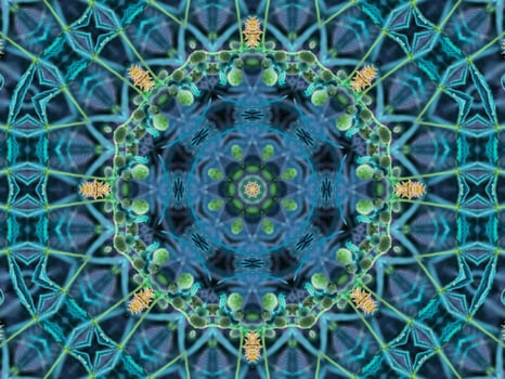 background abstract flame mandala flower colorful photo