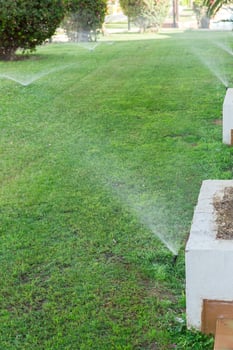 Sprinkler in garden watering the lawn. Automatic watering lawns concept photo