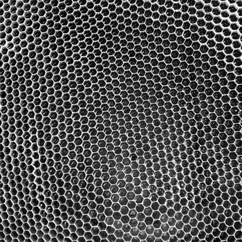 Abstract hexagon structure is honeycomb from bee hive photo