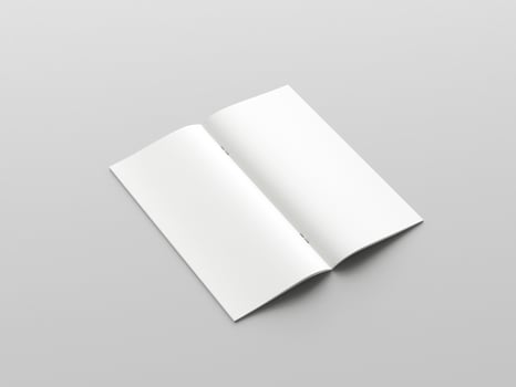 DL bifold flyer mockup photo