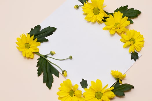 yellow flowers with unopened buds and green leaves photo