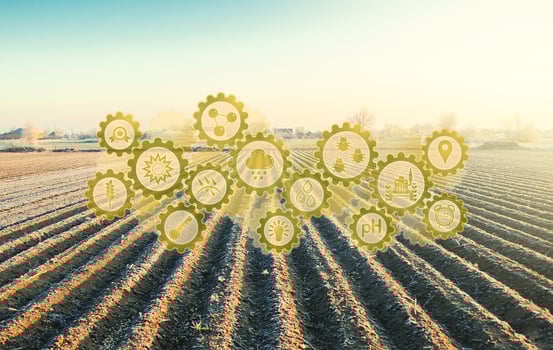Futuristic innovative technology pictogram on a winter farm field. Agriculture agribusiness. Development of technology improvements. Increase the farming season by planting more resistant plant crops. photo
