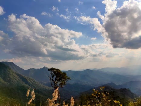 Mountain valley during sunrise. Natural summer landscape photo