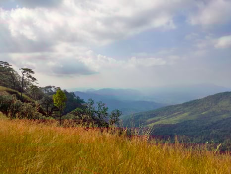 Mountain valley during sunrise. Natural summer landscape photo