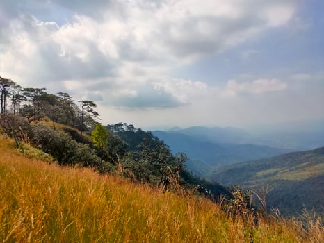 Mountain valley during sunrise. Natural summer landscape photo