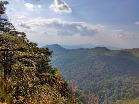 Mountain valley during sunrise. Natural summer landscape photo