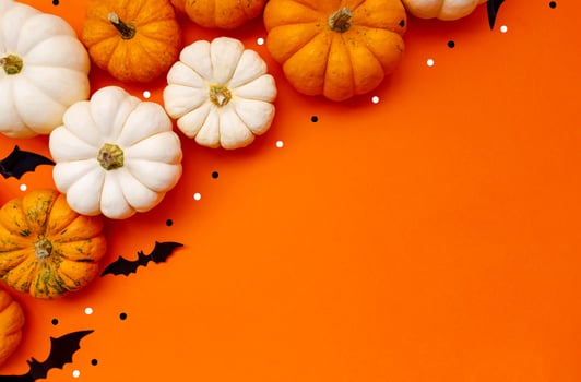 Halloween flat lay composition of black paper bats fand pumpkins on orange background. Halloween concept. photo