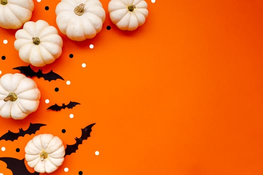 Halloween flat lay composition of black paper bats fand pumpkins on orange background. Halloween concept. photo