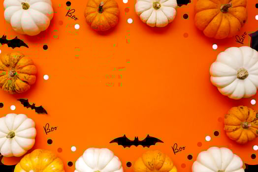 Halloween flat lay composition of black paper bats fand pumpkins on orange background. Halloween concept. photo