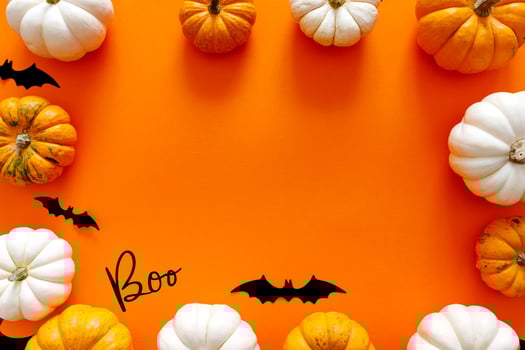 Halloween flat lay composition of black paper bats fand pumpkins on orange background. Halloween concept. photo