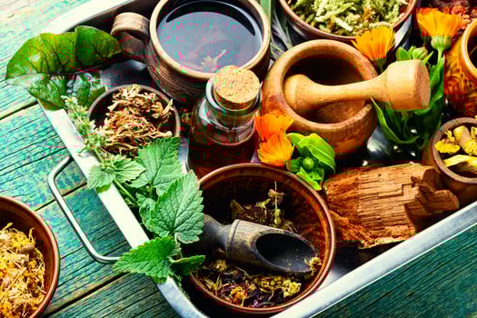 Preparation of medicines from medicinal herbs and plants. photo