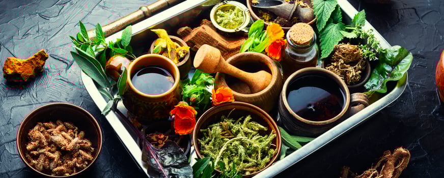 Various kinds of medicinal plants photo