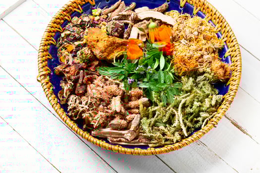 Medicinal plants in medicine photo