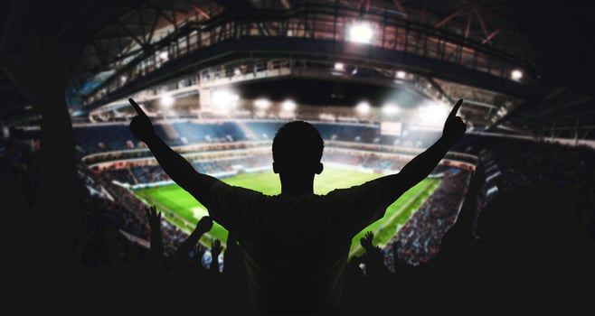 Soccer stadium arena with natural green grass photo