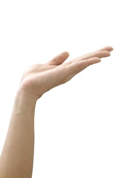 Empty human hand held up isolated on white photo