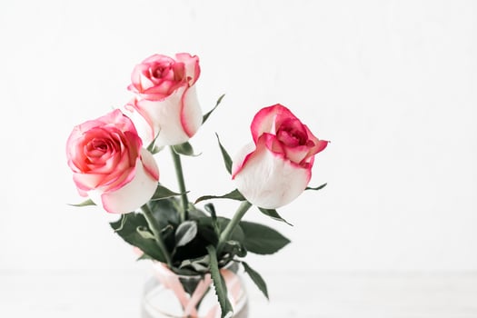 Bouquet of fresh pink roses on a light background. Close up and lifestyle photo