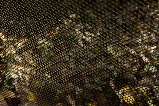 Mesh steel texture. Grid in sunlight. Fence in detail. photo