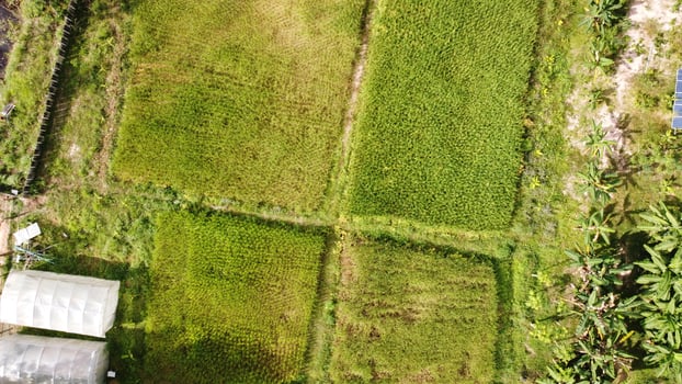 Topview of farm in thailand. photo