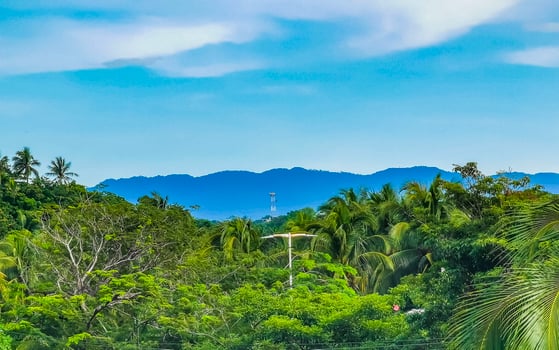 Beautiful nature with palm trees and mountains Puerto Escondido Mexico. photo