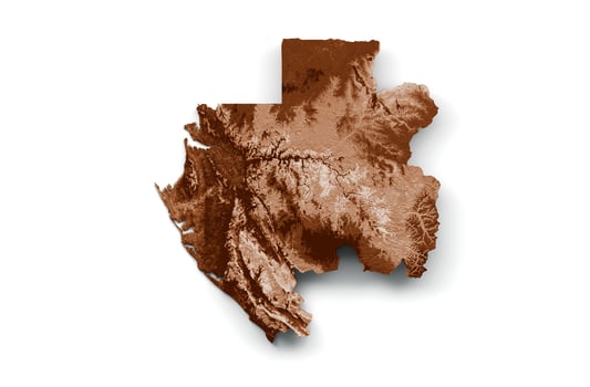 Map of Gabon in old style, brown graphics in a retro style Vintage Style. High detailed 3d illustration photo