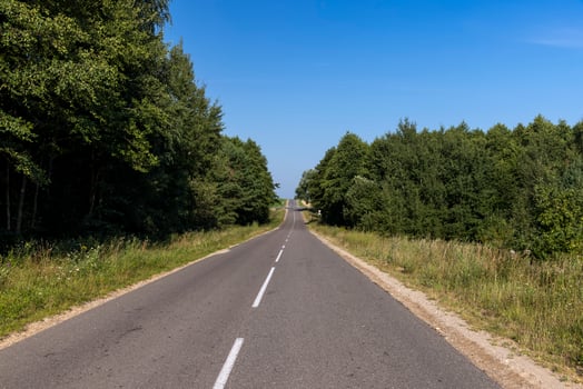 Paved road through the forest photo