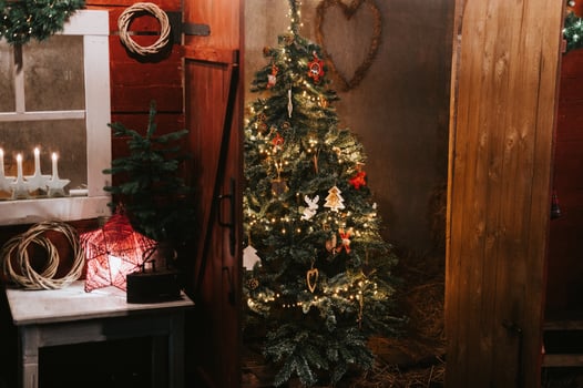 christmas time tree light glowing photo