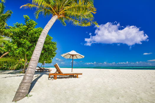 Amazing vacation beach. Chairs on the sandy beach near the sea. Summer romantic holiday tourism. Beautiful tropical island landscape. Tranquil shore scenery, relax sand seaside horizon, palm leaves photo