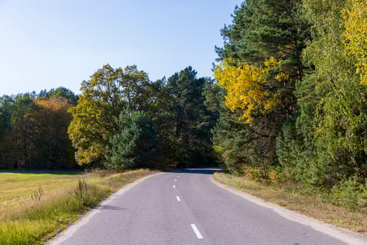 Paved road in the autumn season in sunny weather photo