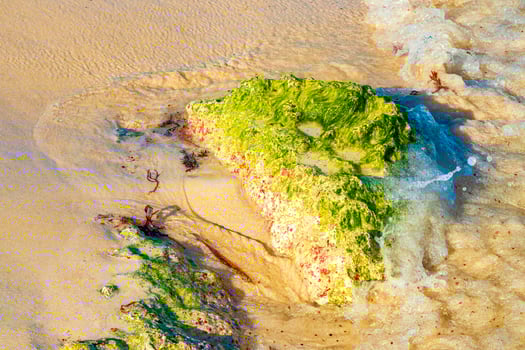 Stones rocks corals turquoise green blue water on beach Mexico. photo