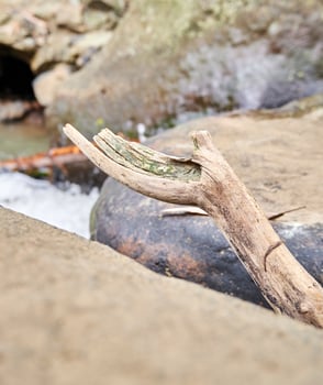 close-up of wood wedged in the rock near the river. photo