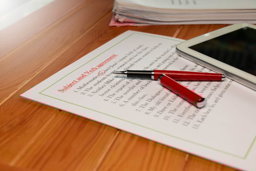 Subject and Verb Agreement worksheet on wooden table photo