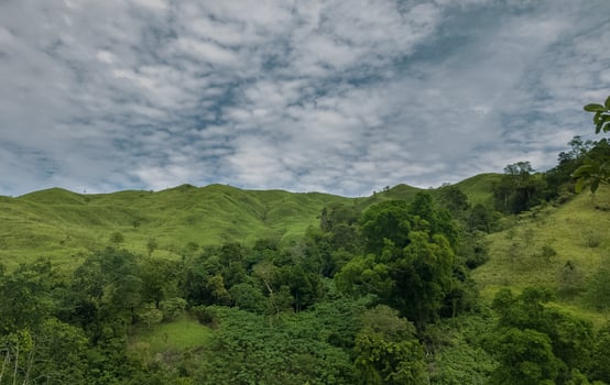 A shady forest with meadow hills and a very beautiful cloud background photo