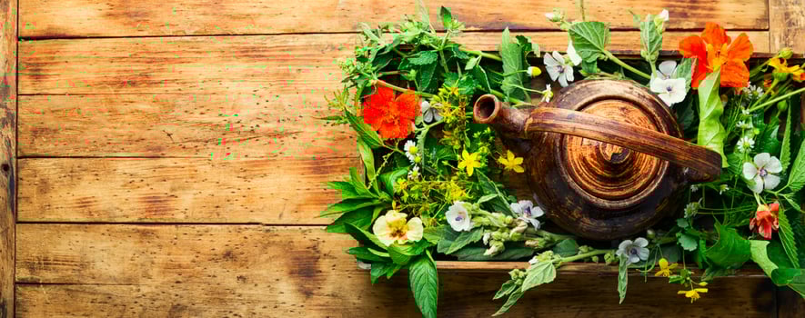 Herbal tea,flowers and herbs,medicinal herbs photo
